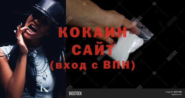 прущий лед Алзамай