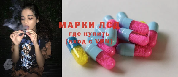 прущий лед Алзамай