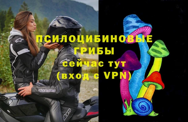 apvp Алексеевка
