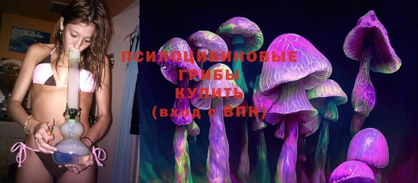apvp Алексеевка